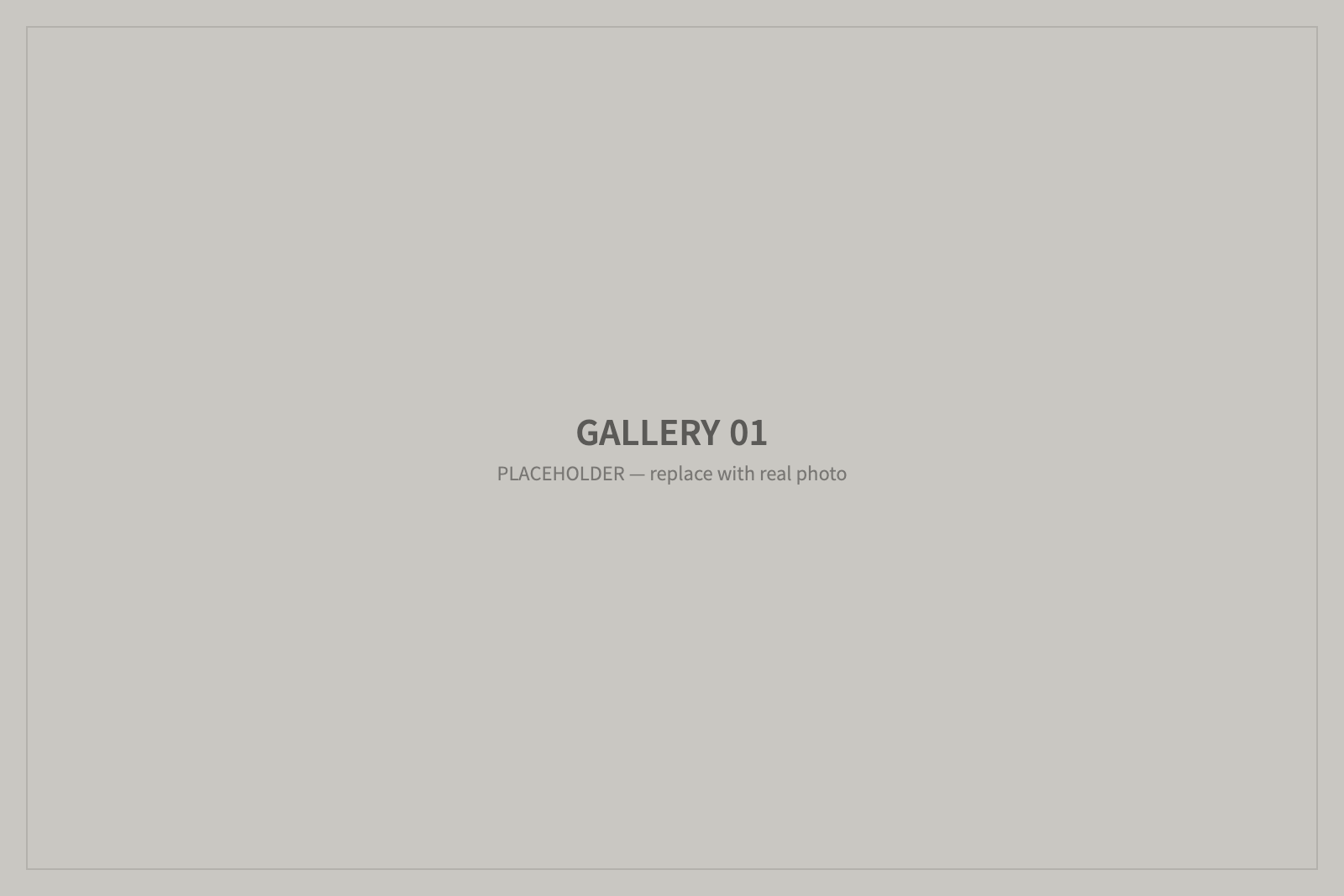 GALLERY 01 — placeholder image